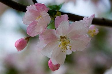 《完蛋被美女包围前传》正式发售 优惠价39.6元